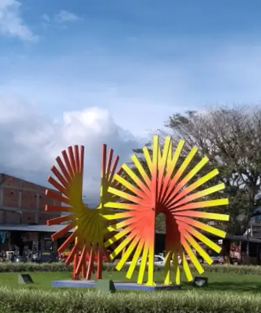 Terminal de Pitalito Huila